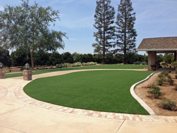 Artificial Turf Cost Sturgis, Michigan Design Ideas, Front Yard Landscape Ideas