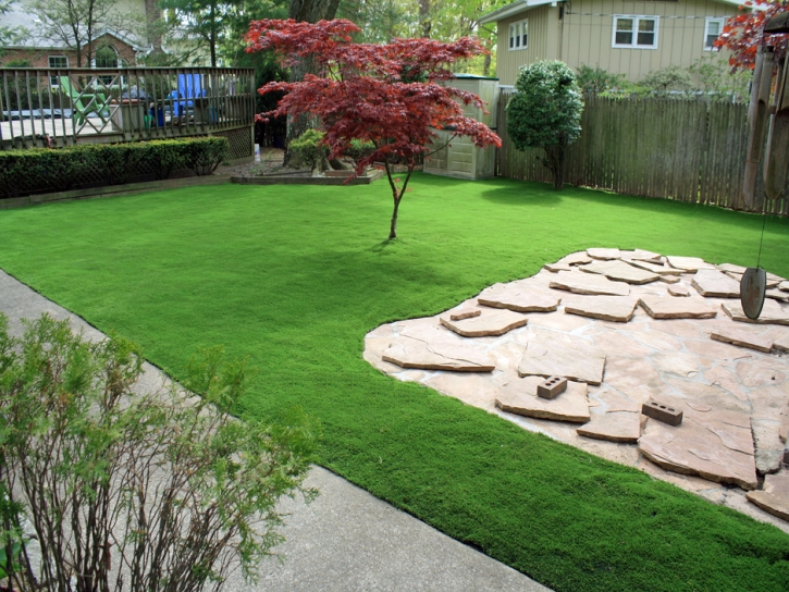 Artificial Turf Cost Tekonsha, Michigan Landscape Ideas, Backyard