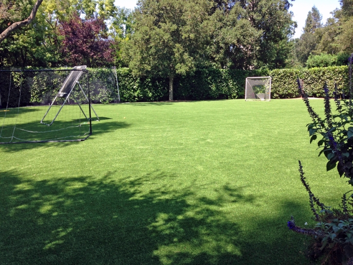 Artificial Turf Cost Vandercook Lake, Michigan Sports Turf, Backyards