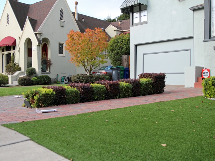 Artificial Turf Goodrich, Michigan Gardeners, Front Yard Landscaping Ideas