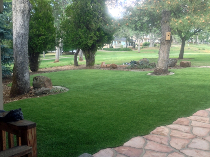 Artificial Turf Installation Mason, Michigan Landscape Ideas, Landscaping Ideas For Front Yard