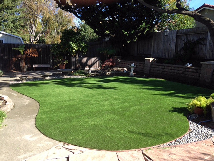 Artificial Turf Installation Robin Glen-Indiantown, Michigan Backyard Playground, Backyard Ideas