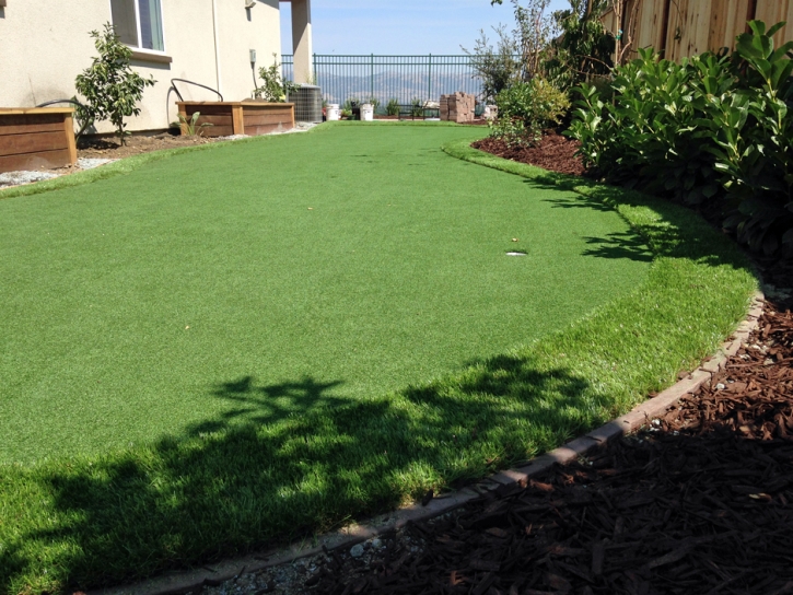 Artificial Turf Port Huron, Michigan Lawns, Backyard Designs