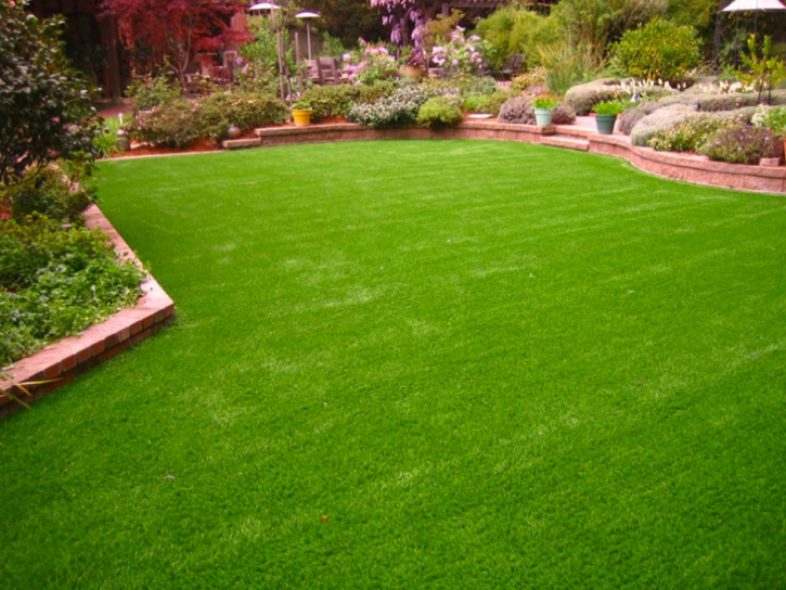 Artificial Turf Wayland, Michigan Landscaping, Backyard Design