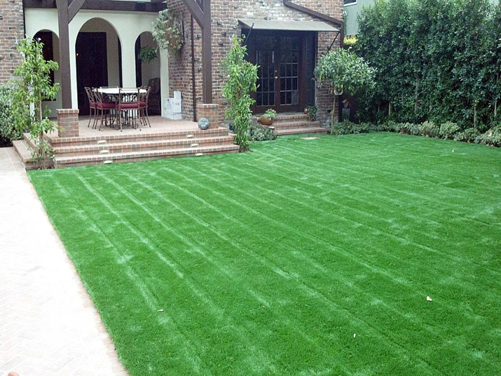 Best Artificial Grass Applegate, Michigan Paver Patio, Front Yard Landscape Ideas