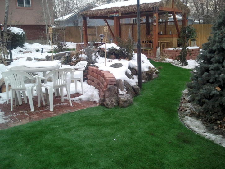 Best Artificial Grass Berkley, Michigan Rooftop, Backyard Ideas