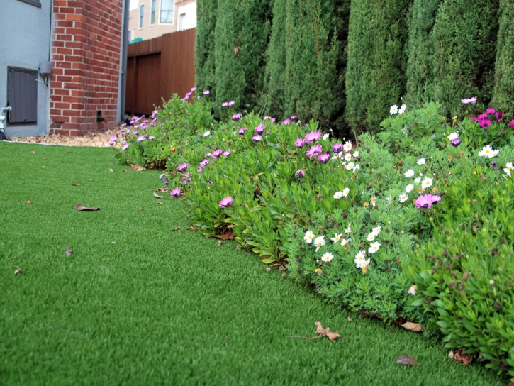 Best Artificial Grass Corunna, Michigan Landscaping Business, Landscaping Ideas For Front Yard