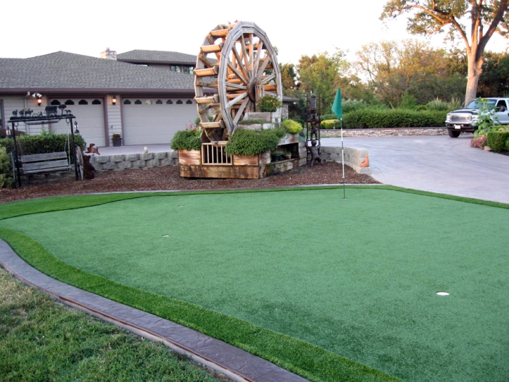 Best Artificial Grass Delton, Michigan City Landscape, Front Yard Design