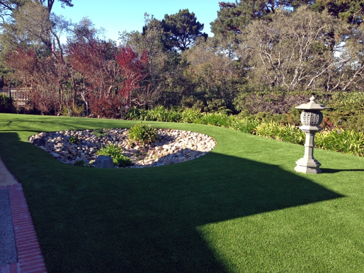 Best Artificial Grass Grosse Ile, Michigan Landscaping, Backyard