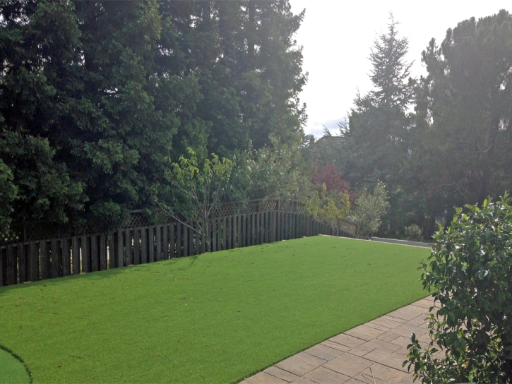 Best Artificial Grass Lupton, Michigan Landscaping Business, Backyard Ideas