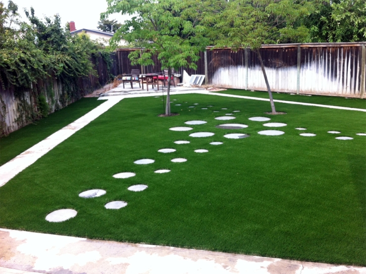 Best Artificial Grass Saint Clair, Michigan Landscape Photos, Backyards