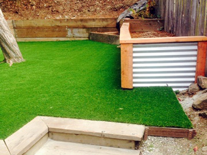 Best Artificial Grass Standish, Michigan Landscaping, Backyard Designs