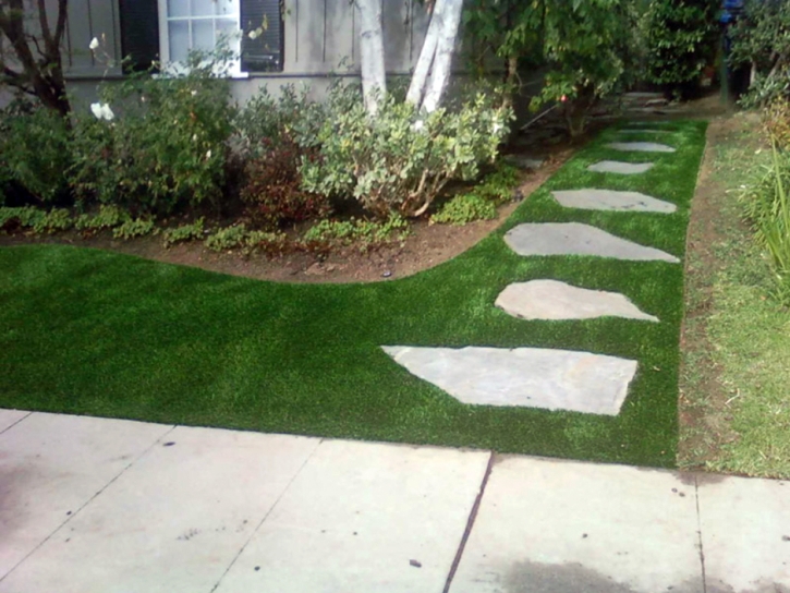 Best Artificial Grass Trenton, Michigan Lawns, Front Yard Design