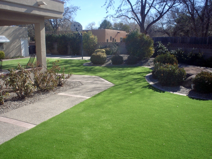 Best Artificial Grass Troy, Michigan Design Ideas, Landscaping Ideas For Front Yard