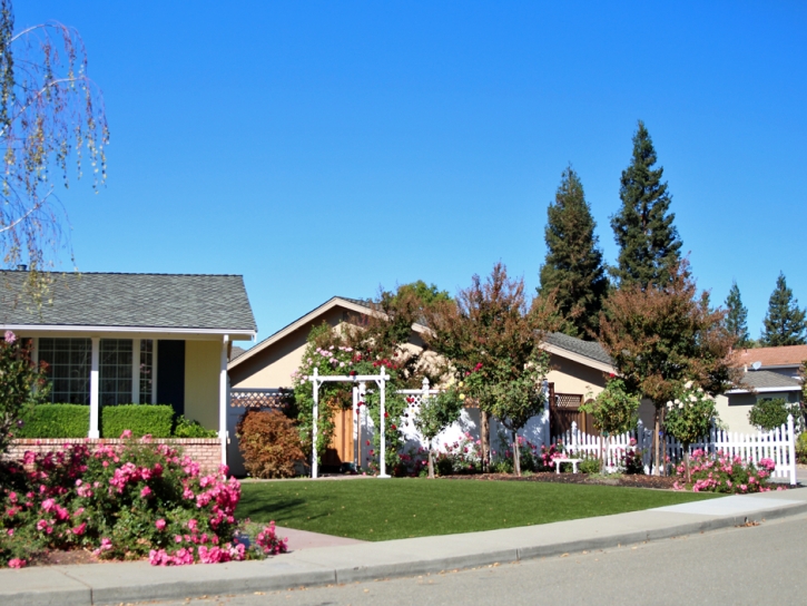 Best Artificial Grass White Cloud, Michigan Landscaping Business, Front Yard Ideas