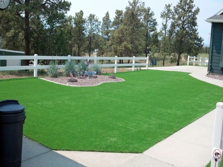 Fake Grass Carpet Canton, Michigan Roof Top, Front Yard