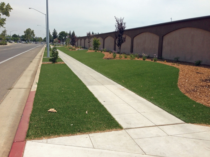 Fake Grass Carpet Cement City, Michigan City Landscape, Commercial Landscape