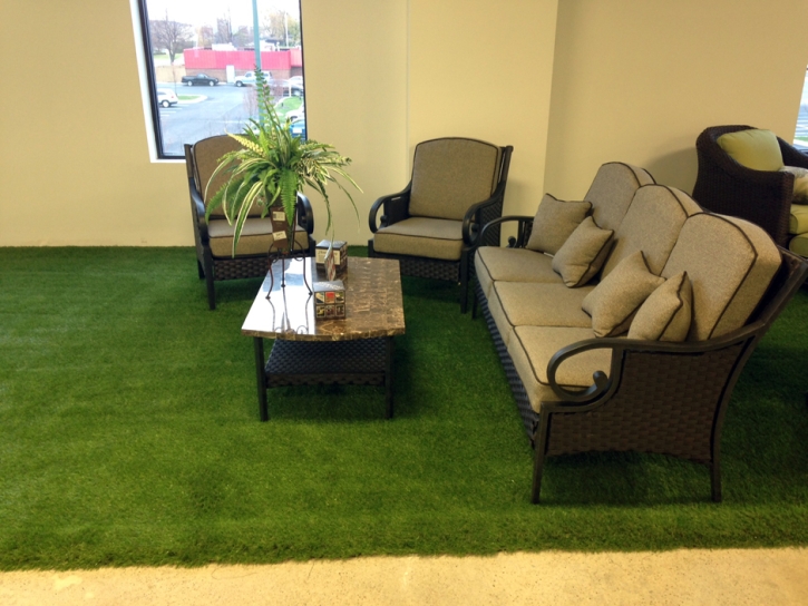 Fake Grass Carpet Dundee, Michigan Gardeners, Commercial Landscape