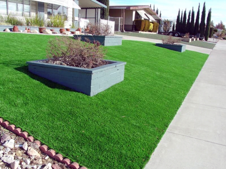 Fake Grass Carpet Holt, Michigan Landscape Design, Front Yard Landscaping