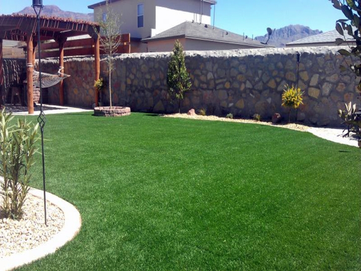 Fake Grass Carpet Muir, Michigan Garden Ideas, Backyard Landscaping