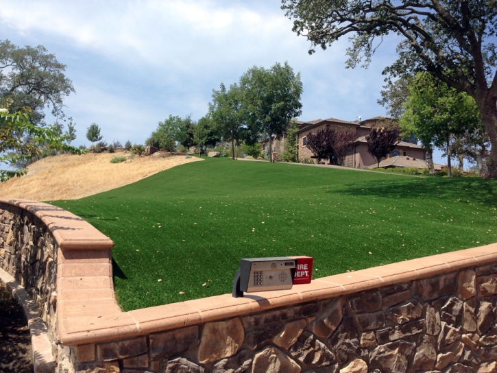 Fake Grass Carpet Twining, Michigan Roof Top, Landscaping Ideas For Front Yard