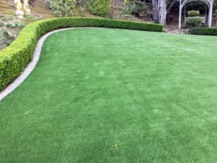 Fake Grass Carpet Westphalia, Michigan Rooftop, Backyard Garden Ideas