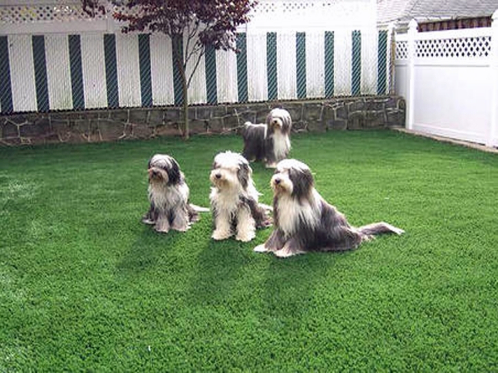 Fake Grass Houghton Lake, Michigan Landscape Ideas, Dog Kennels