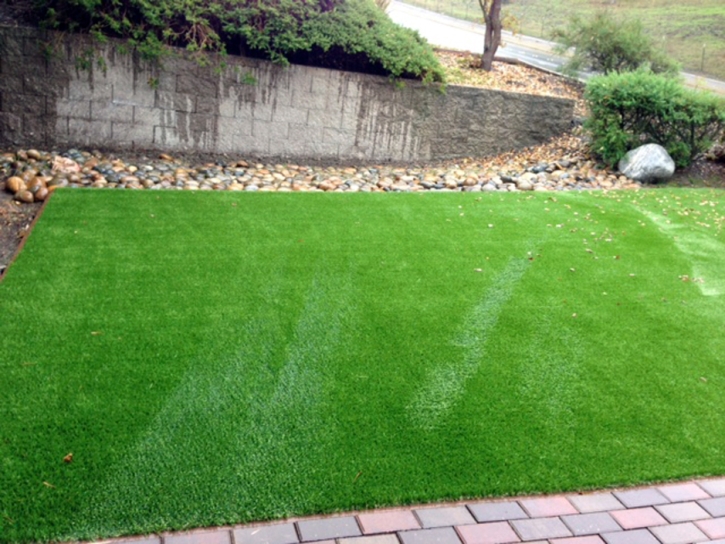 Fake Grass Maybee, Michigan Lawn And Landscape, Front Yard Ideas