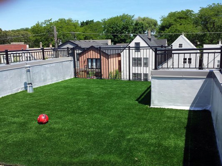 Fake Grass Pinckney, Michigan Rooftop, Roof Top