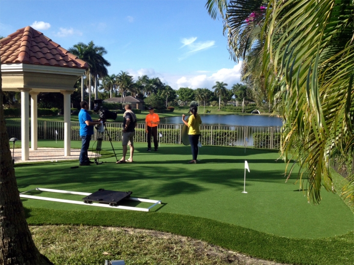 Fake Grass Redford, Michigan Putting Green Carpet, Backyard Landscape Ideas