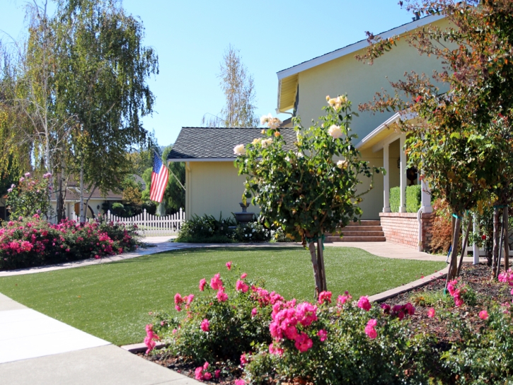 Fake Grass Sparta, Michigan Landscape Rock, Front Yard Ideas