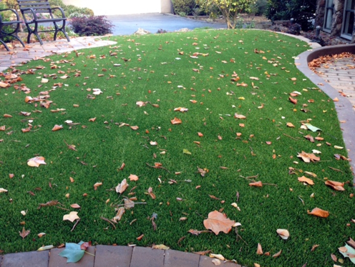 Fake Grass Walled Lake, Michigan Lawns, Front Yard Landscape Ideas