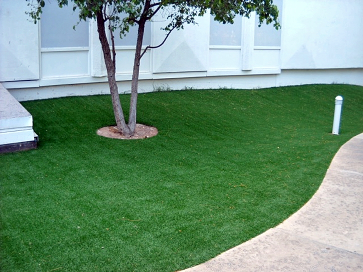 Fake Grass Warren, Michigan Lawn And Garden, Commercial Landscape