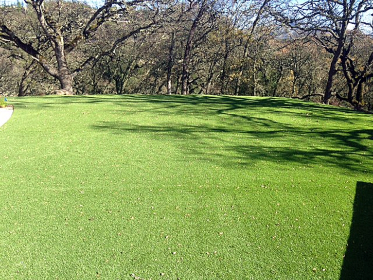 Fake Lawn Fairgrove, Michigan Landscaping, Parks