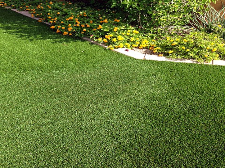 Fake Lawn Livonia, Michigan City Landscape, Front Yard Landscape Ideas