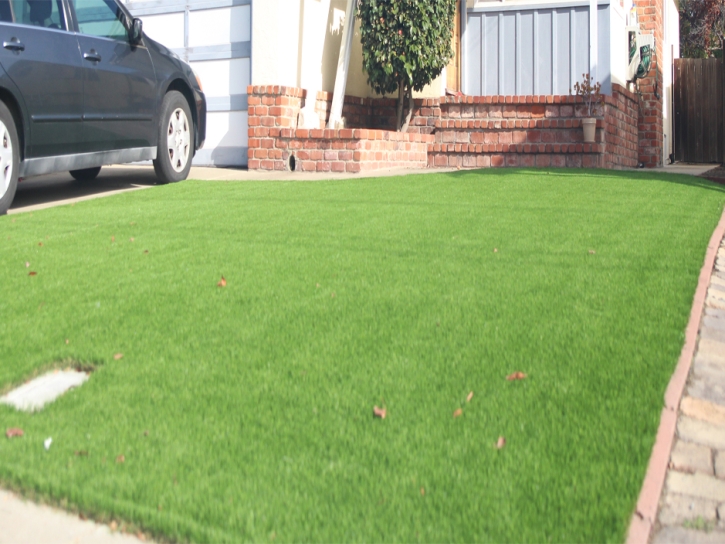 Fake Turf Brown City, Michigan City Landscape, Front Yard