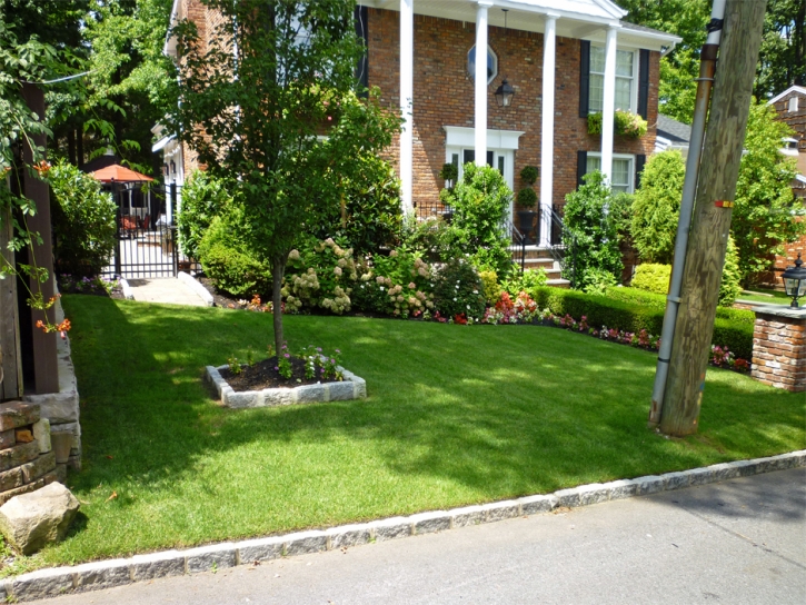 Fake Turf Cass City, Michigan Landscape Design, Small Front Yard Landscaping