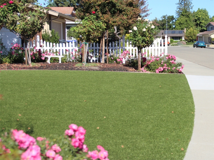 Fake Turf Cassopolis, Michigan Rooftop, Front Yard Design