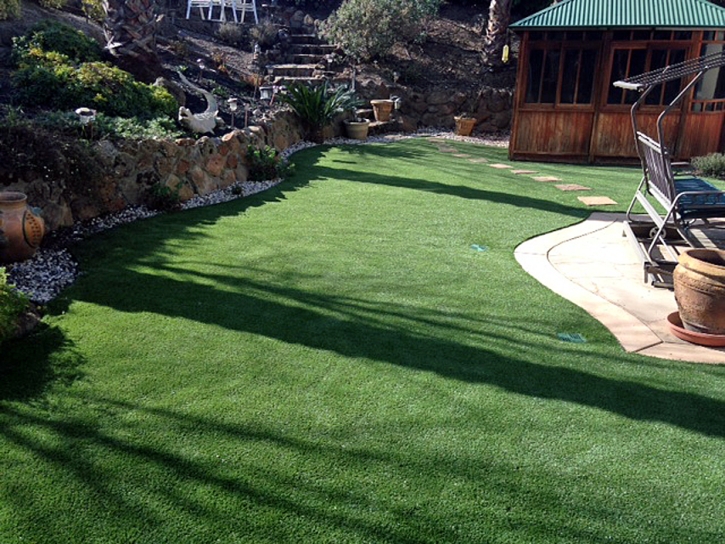 Fake Turf Eaton Rapids, Michigan Landscape Ideas, Backyard Landscaping