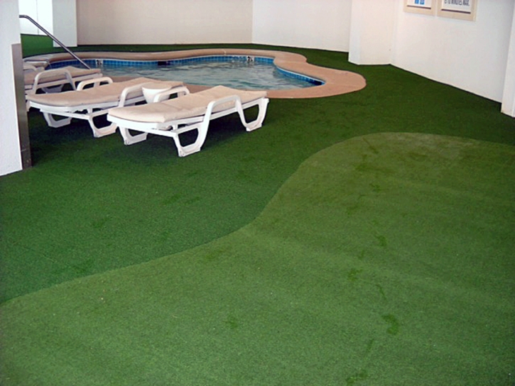 Fake Turf Le Roy, Michigan City Landscape, Backyard Pool