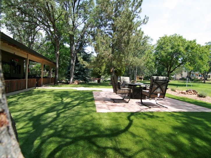 Fake Turf Novi, Michigan Landscape Design, Backyard Ideas