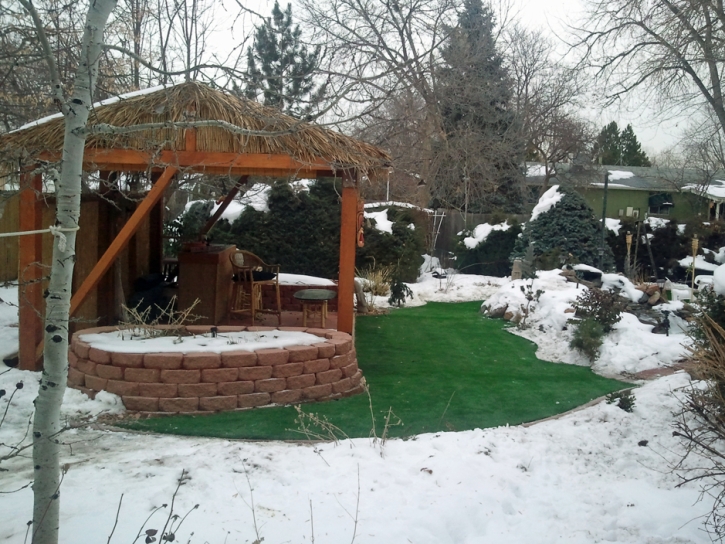 Fake Turf Olivet, Michigan City Landscape, Backyard Garden Ideas