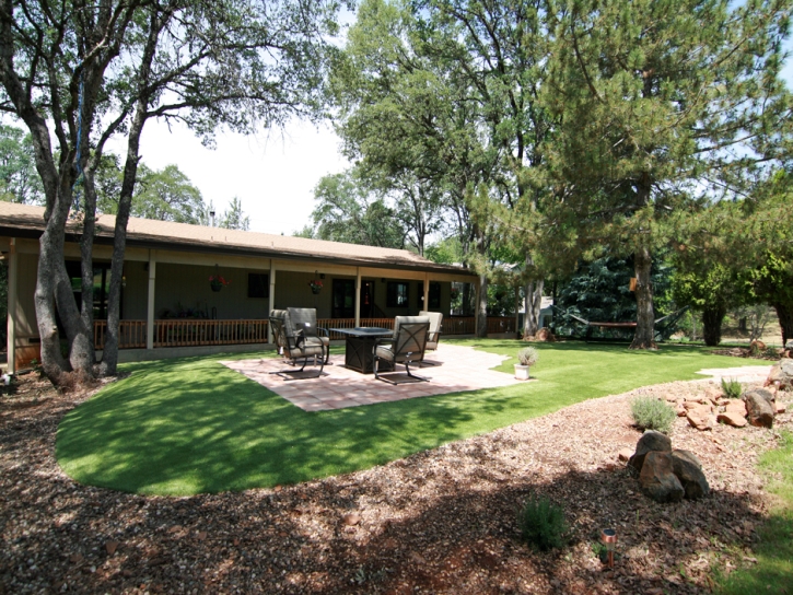 Fake Turf Orchard Lake, Michigan Backyard Deck Ideas, Backyard Design