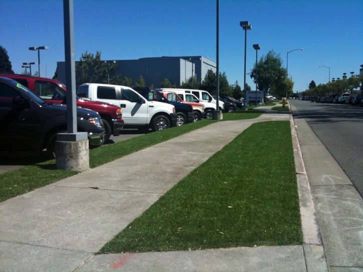 Fake Turf Plymouth, Michigan Design Ideas, Commercial Landscape