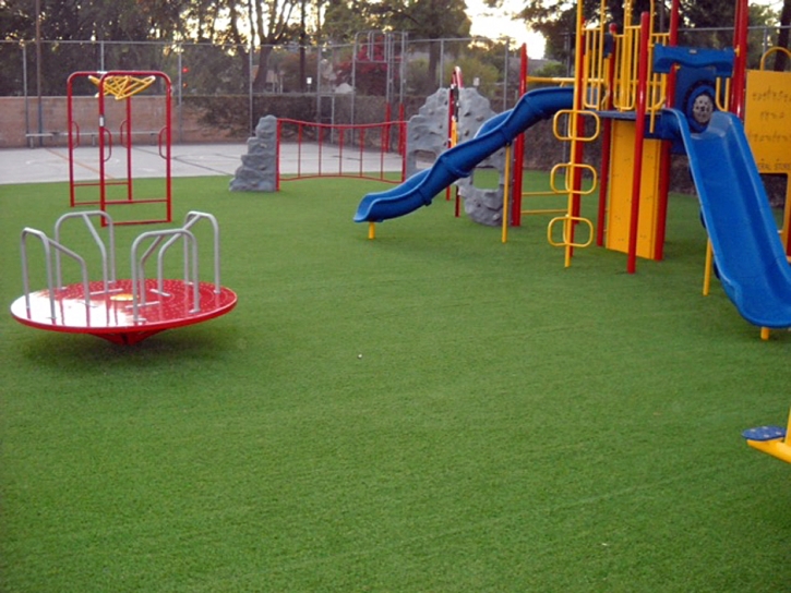 Fake Turf Roosevelt Park, Michigan Backyard Deck Ideas, Parks