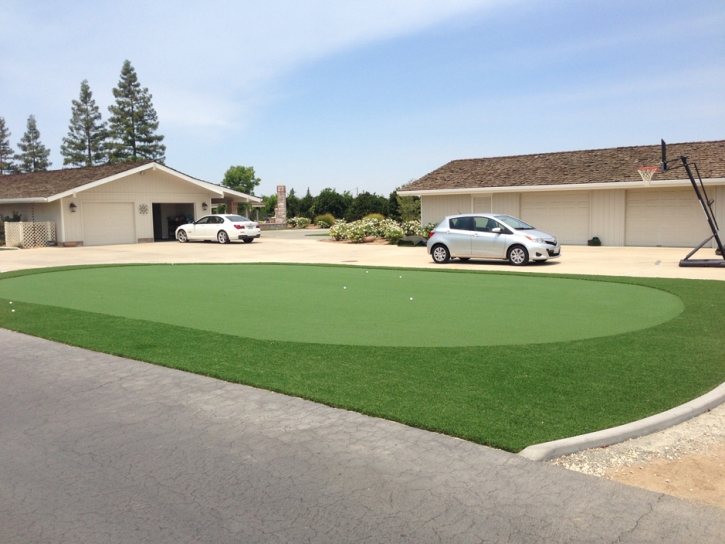 Faux Grass Clio, Michigan Indoor Putting Green, Landscaping Ideas For Front Yard