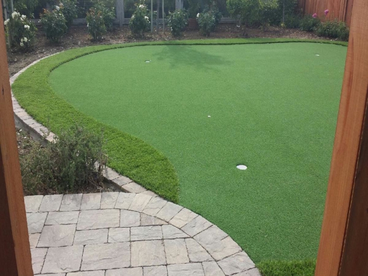 Faux Grass Inkster, Michigan Roof Top, Backyard Designs