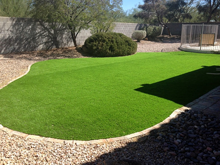 Faux Grass Roseville, Michigan Design Ideas, Backyard Designs