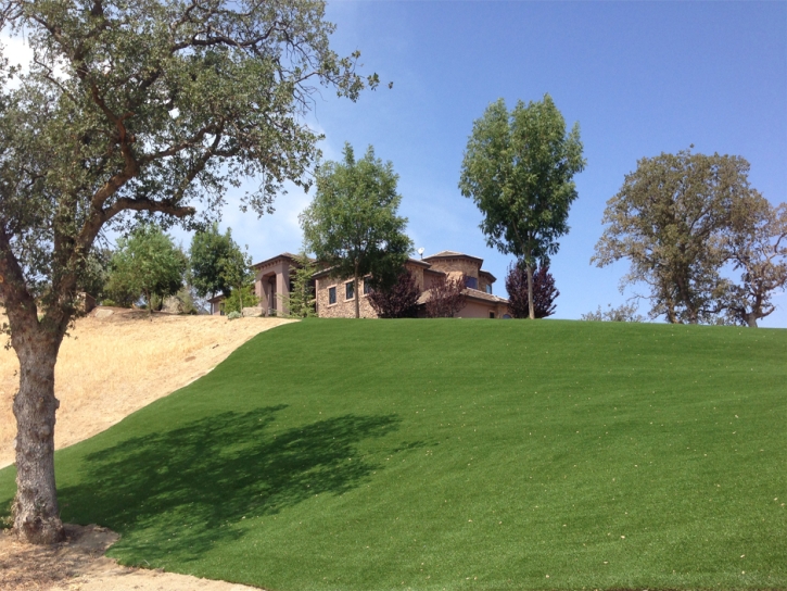 Faux Grass Webberville, Michigan Roof Top, Front Yard Design