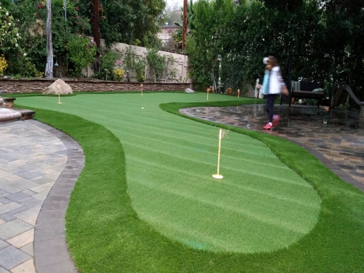 Grass Carpet Ann Arbor, Michigan Putting Green Carpet, Backyard Landscaping Ideas